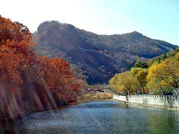 新澳天天开奖资料大全旅游团，木屐拖鞋